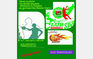 J2 : Club Sport / ASAC Fumerolles